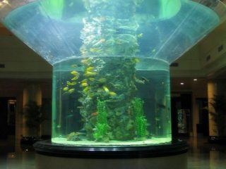 pmma玻璃水族箱半圆柱有机玻璃鱼缸