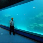 铸造墙紫外线丙烯酸面板为水族馆，海洋水族馆