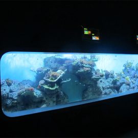 人造铸造丙烯酸圆柱透明鱼水族馆/观察窗