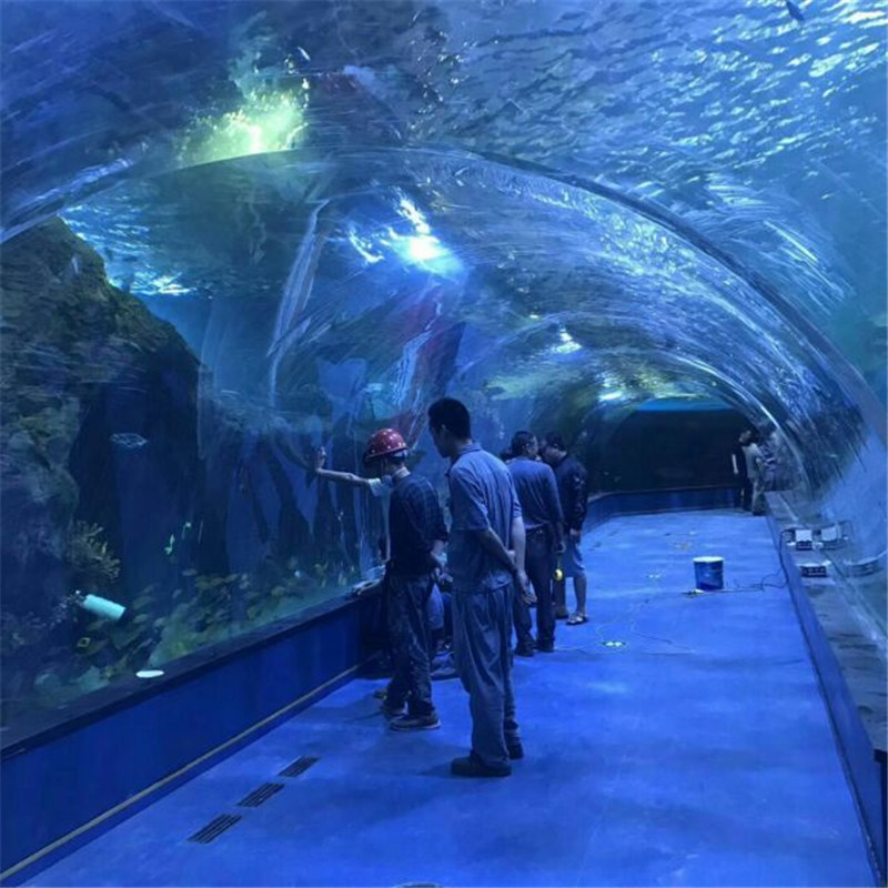 在公共水族馆的丙烯酸隧道海洋水族馆项目