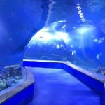 清除pmma丙烯酸大型塑料隧道的水族馆