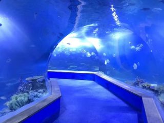 清除pmma丙烯酸大型塑料隧道的水族馆