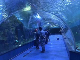 定制有机玻璃丙烯酸隧道水族馆